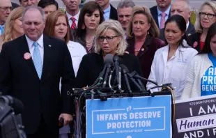 Current House GOP conference chair Rep. Liz Cheney (R-Wyo,) at an April 2019 pro-life press conference. Cheney is expected to be replaced in her role by Rep. Elise Stefanik (R-N.Y.). Jerome460/Shutterstock